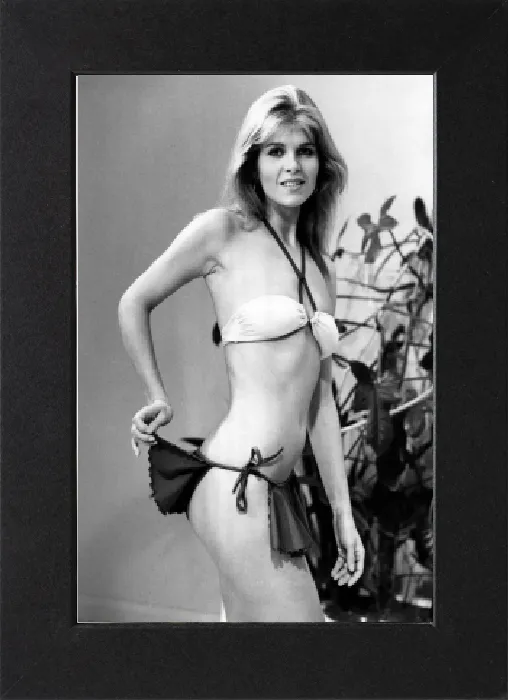 Impression encadrée : La mode - Vêtements de plage. Angela Lyn. La mannequin Angela Lyn a apporté un peu de vacances dans le soleil. Impression encadrée : La mode - Vêtements de plage. Angela Lyn. La mannequin Angela Lyn a apporté un peu de vacances dans le soleil.