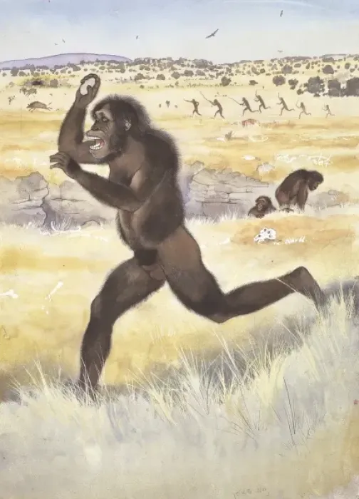 Impression encadrée : Australopithèque africain.