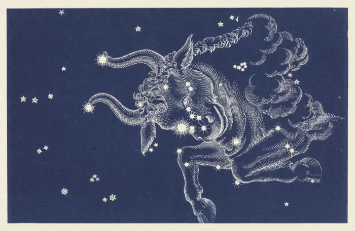 Impression encadrée : Taurus. La constellation du Taureau Impression encadrée : Taurus. La constellation du Taureau