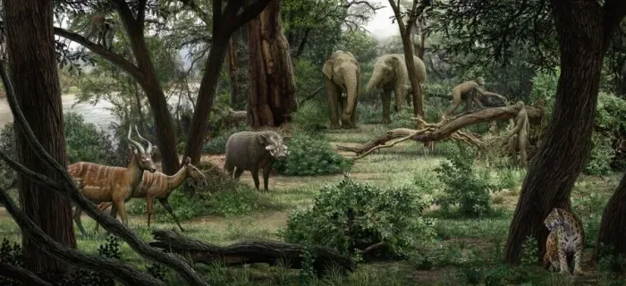 Impression encadrée : Landscape d'Ardipithecus ramidus