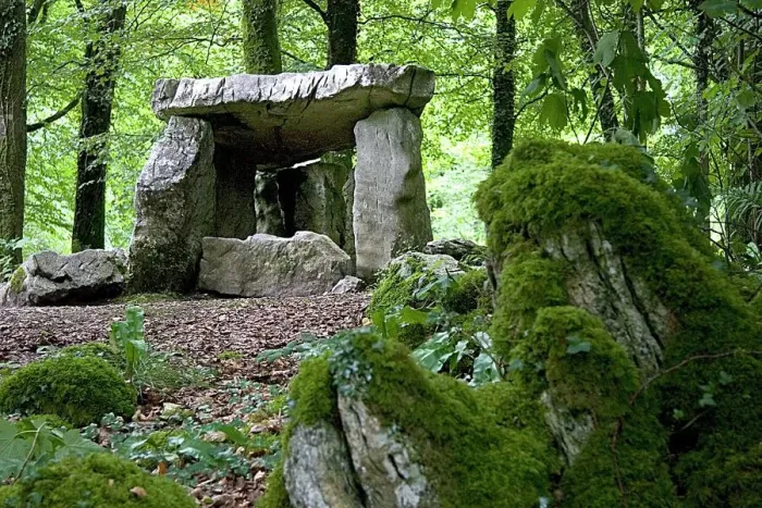 Impression encadrée : Dolmen. Le dolmen du projet de Craggaunowen dans le comté de Clare, Irlande Impression encadrée : Dolmen. Le dolmen du projet de Craggaunowen dans le comté de Clare, Irlande