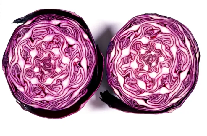 Impression encadrée : Cabbage rouge équilibré Impression encadrée : Cabbage rouge équilibré