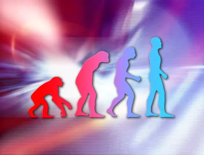 Impression encadrée : L'évolution humaine