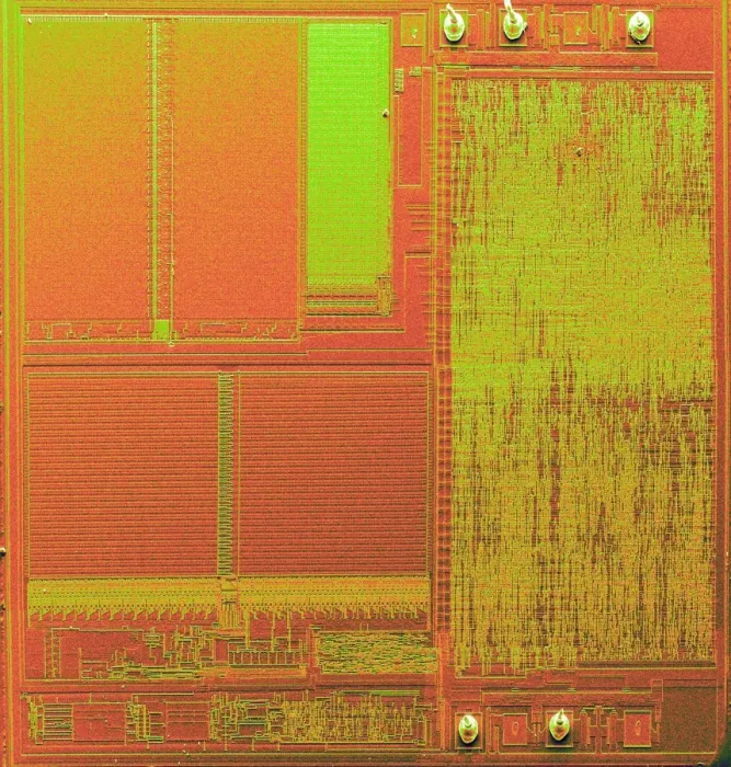 Impression encadrée : Micronédoide, SÉM