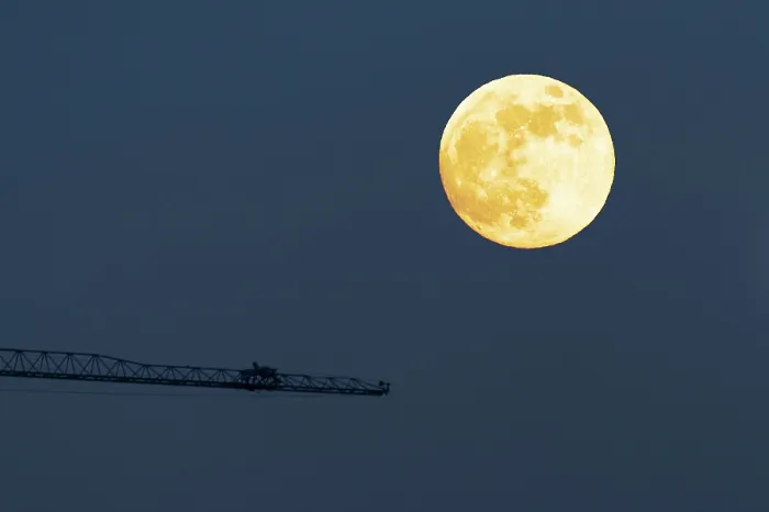 Impression encadrée : Lune et grue Impression encadrée : Lune et grue