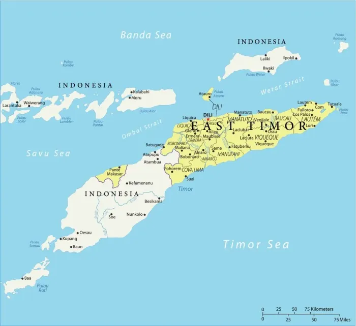 Impression encadrée : Carte de l'Est-Timor - Vector. Impression encadrée : Carte de l'Est-Timor - Vector.