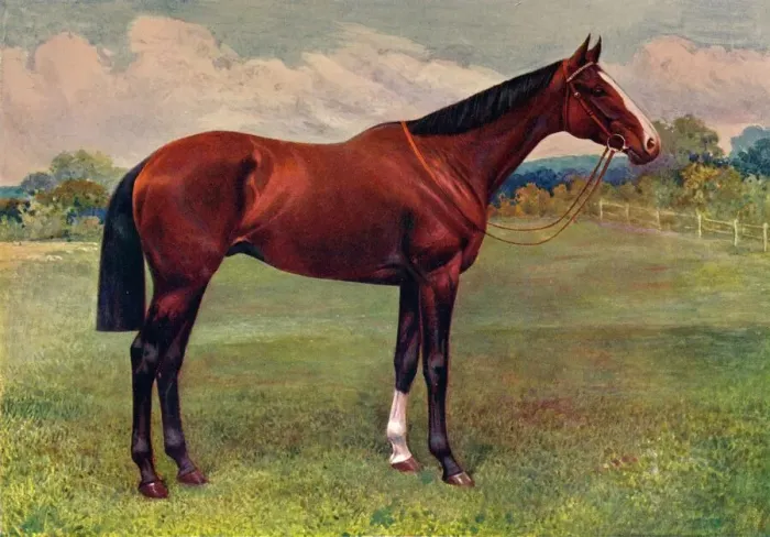 Impression encadrée : Menthe poivrée, c1905 (c1910).