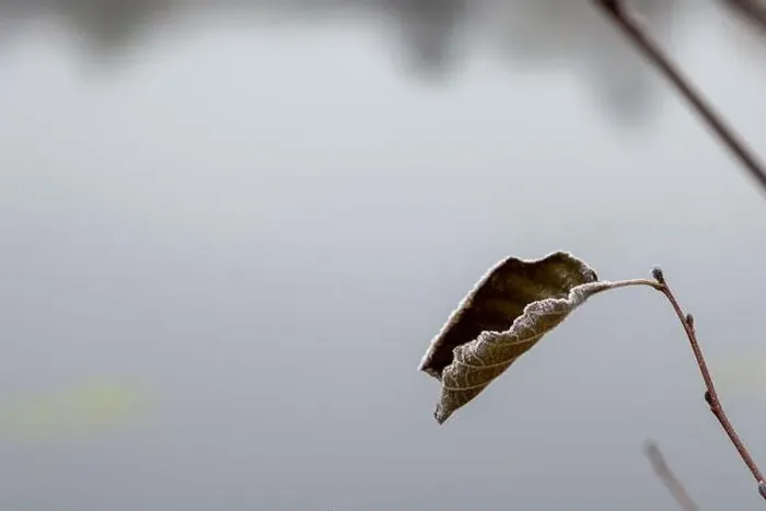 Impression encadrée : 2ytrwtb