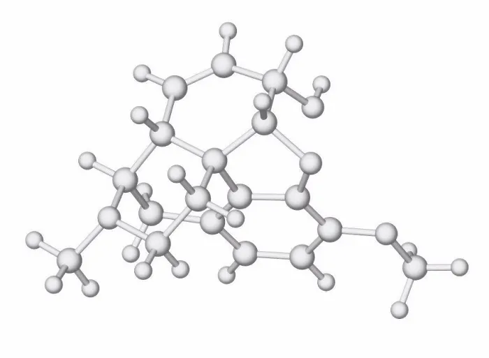 Impression encadrée : Le codeine, modèle moléculaire. Impression encadrée : Le codeine, modèle moléculaire.