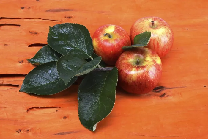 Impression encadrée : Apples Impression encadrée : Apples