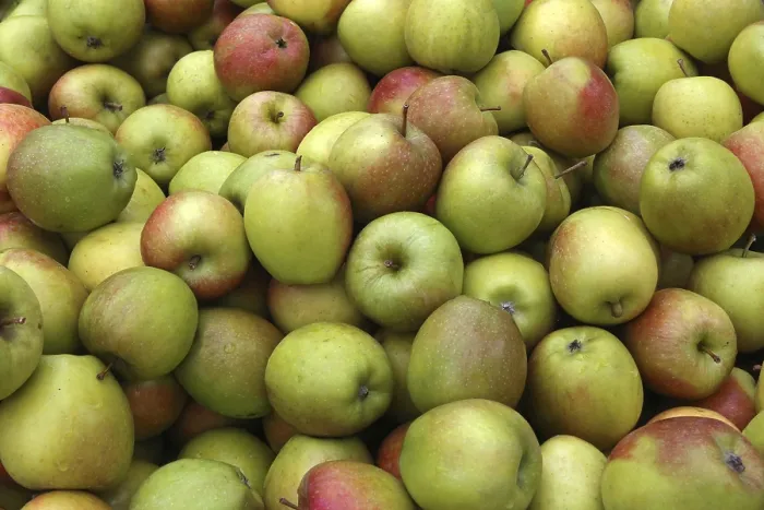 Impression encadrée : Apples