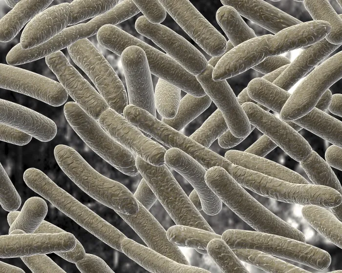 Impression encadrée : Bacillus sur arrière-plan flou.