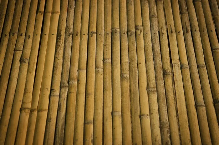 Impression encadrée : Détail de surface de bambou. Impression encadrée : Détail de surface de bambou.