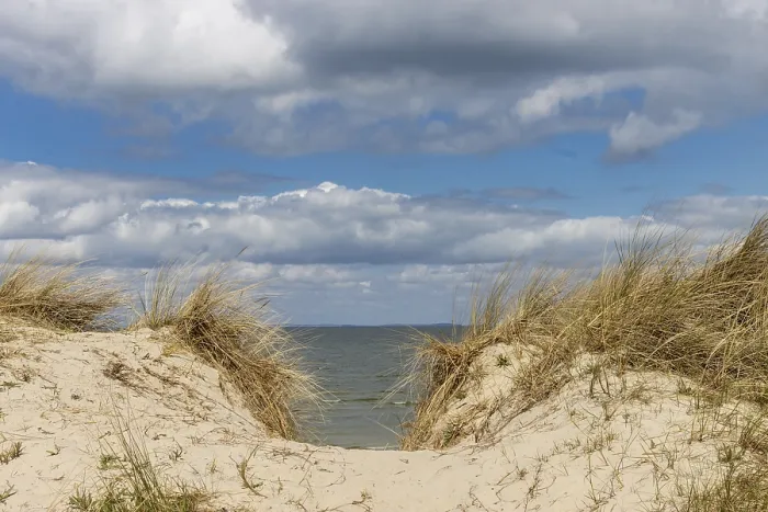 Impression encadrée : Sentier de plage Impression encadrée : Sentier de plage