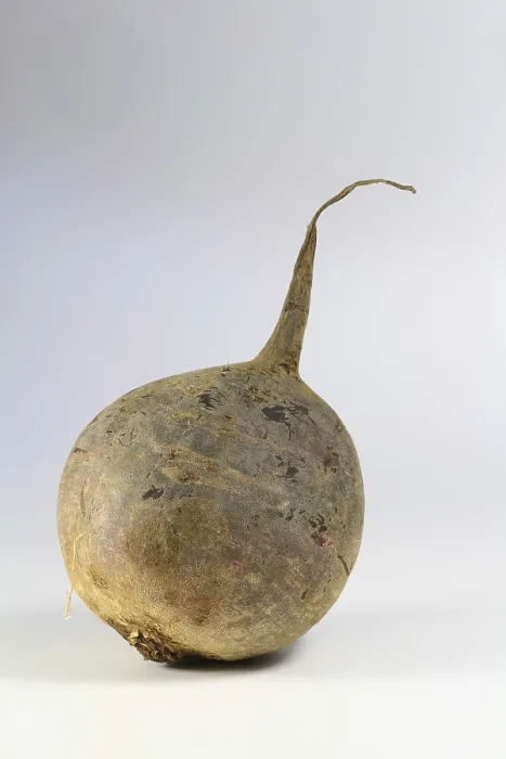 Impression encadrée : Beetroot