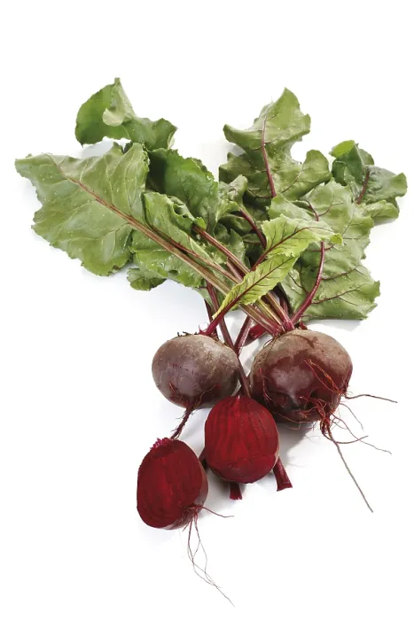 Impression encadrée : Beetroot