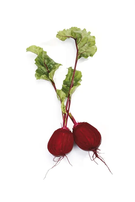 Impression encadrée : Beetroot Impression encadrée : Beetroot