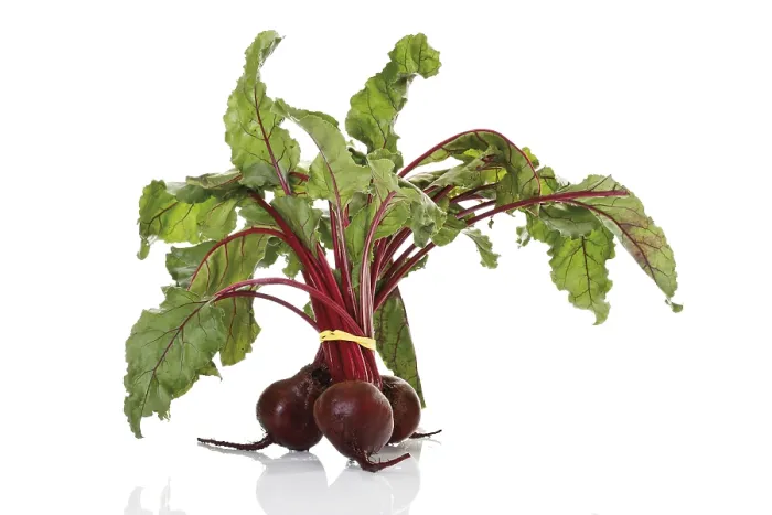 Impression encadrée : Beetroot