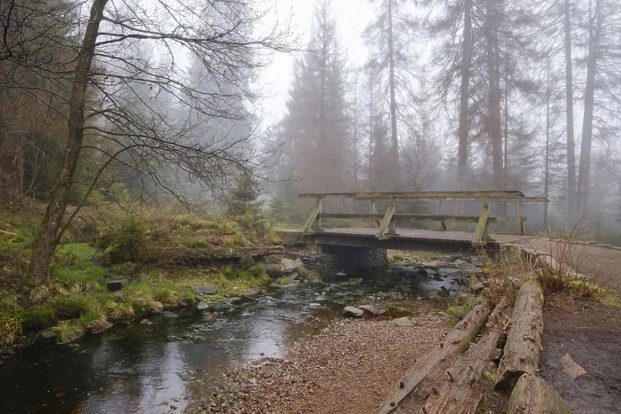 Impression encadrée : Pont à l'Oderteich, Nebel. Impression encadrée : Pont à l'Oderteich, Nebel.