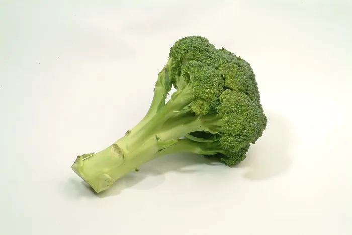 Impression encadrée : Broccoli Impression encadrée : Broccoli