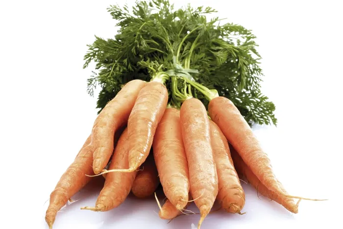 Impression encadrée : Un bouquet de carottes.