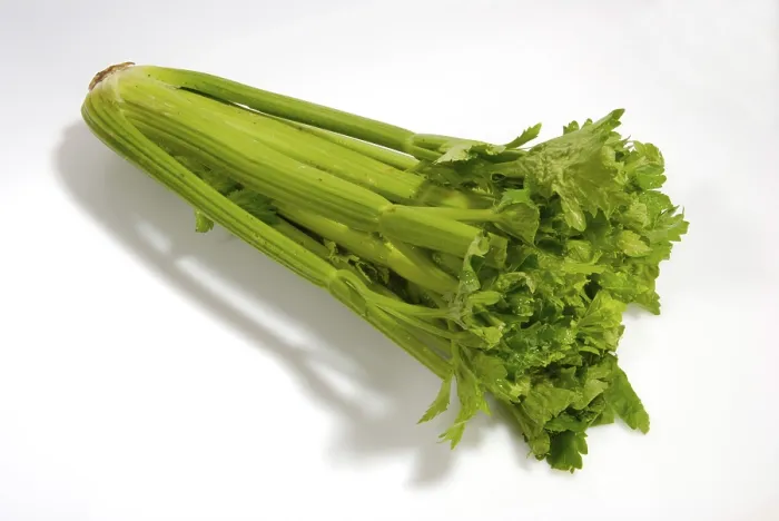 Impression encadrée : Celery Impression encadrée : Celery