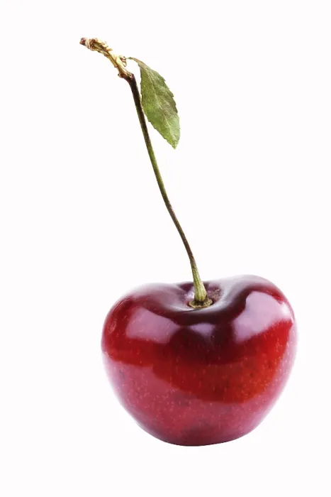 Impression encadrée : Cherry
