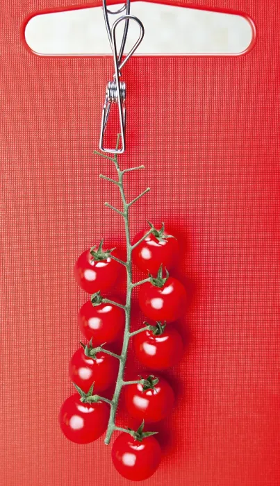 Impression encadrée : Tomates cerises