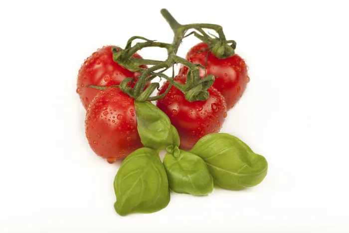 Impression encadrée : Tomates cerises avec basilic. Impression encadrée : Tomates cerises avec basilic.