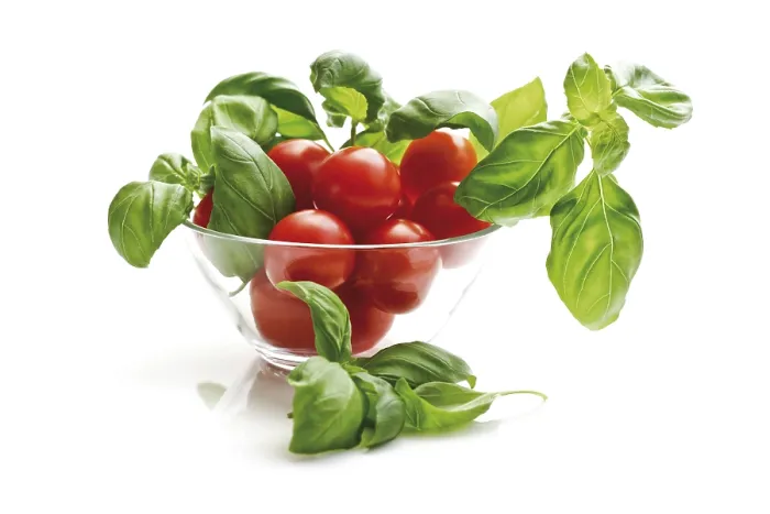 Impression encadrée : Les tomates cerises avec basilic. Impression encadrée : Les tomates cerises avec basilic.