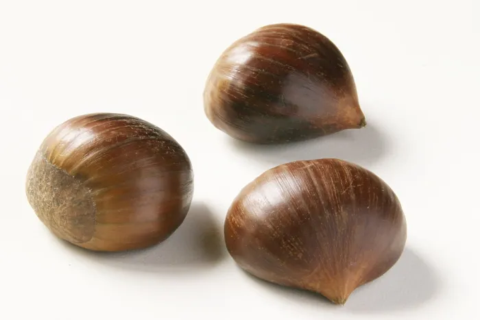 Impression encadrée : Chestnuts