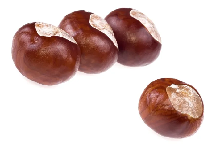 Impression encadrée : Chestnuts