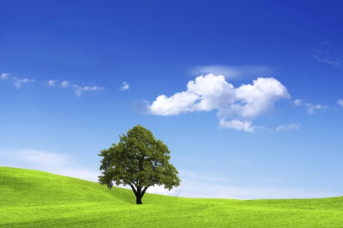 Impression encadrée : Environnement propre.