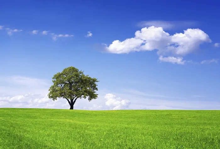 Impression encadrée : Environnement propre.
