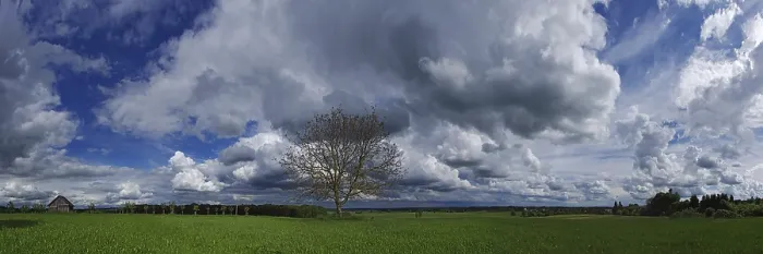 Impression encadrée : Formations nuageuses avec arbre. Impression encadrée : Formations nuageuses avec arbre.