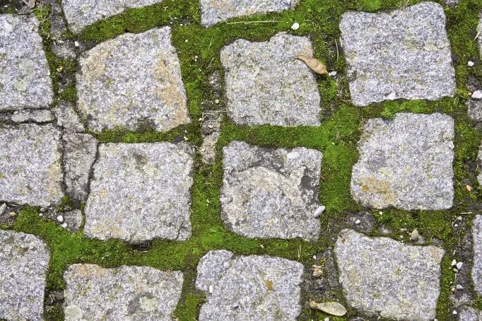 Impression encadrée : Cobbles