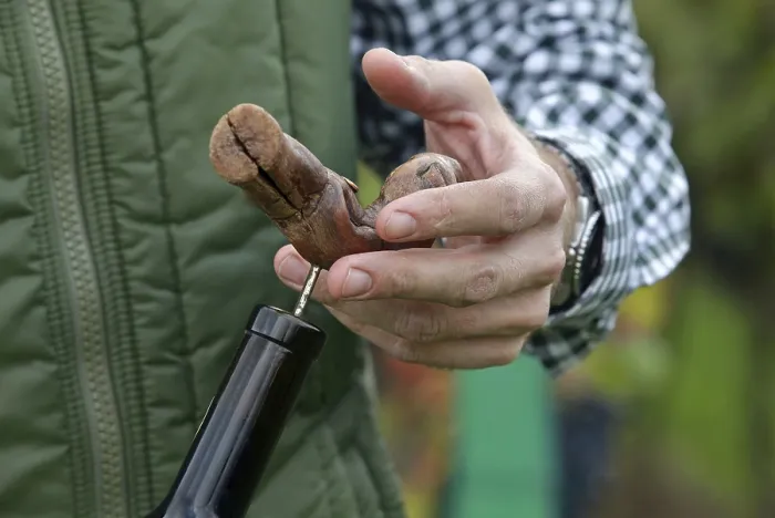 Impression encadrée : Corkscrew