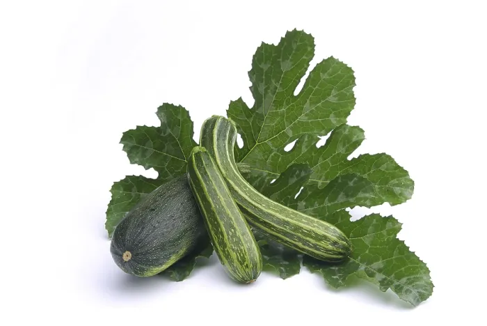 Impression encadrée : Courgette, courgette. Impression encadrée : Courgette, courgette.