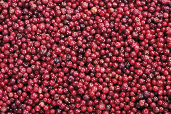 Impression encadrée : Cranberries, plein cadre.