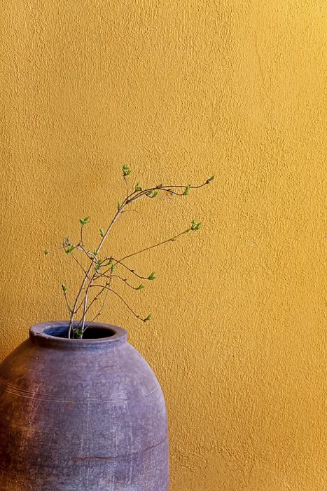 Impression encadrée : Decoration