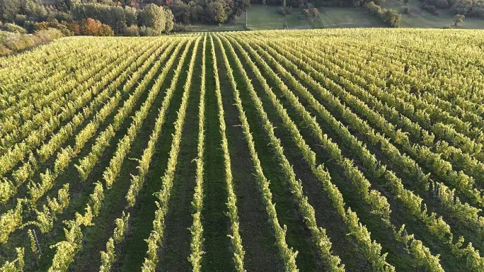 Impression encadrée : Default