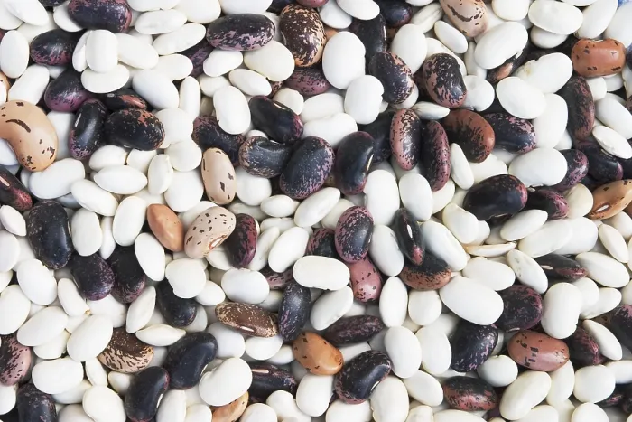Impression encadrée : Les différents types de haricots secs.