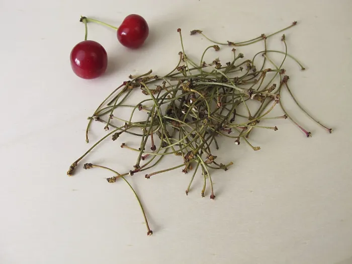 Impression encadrée : Tiges de cerises séchées.