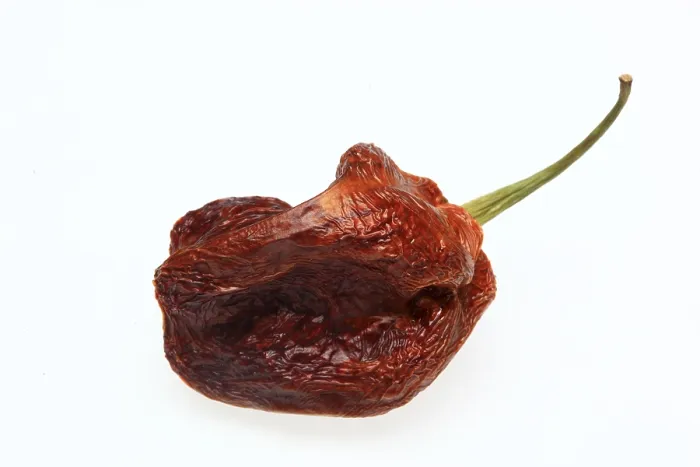 Impression encadrée : Fruits de piment séchés.