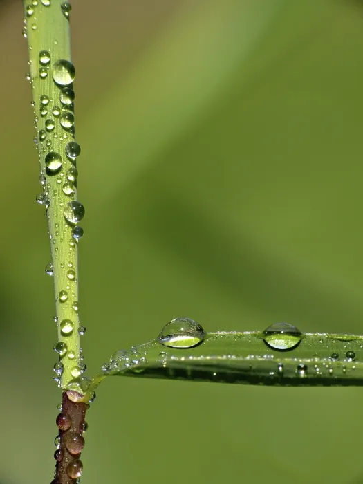 Impression encadrée : Drop Impression encadrée : Drop