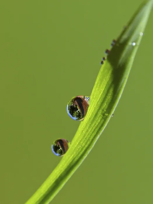 Impression encadrée : Drop