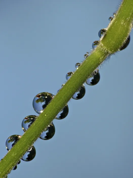 Impression encadrée : Drop Impression encadrée : Drop