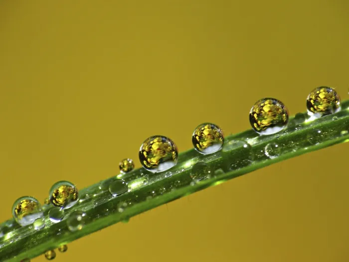 Impression encadrée : Drop