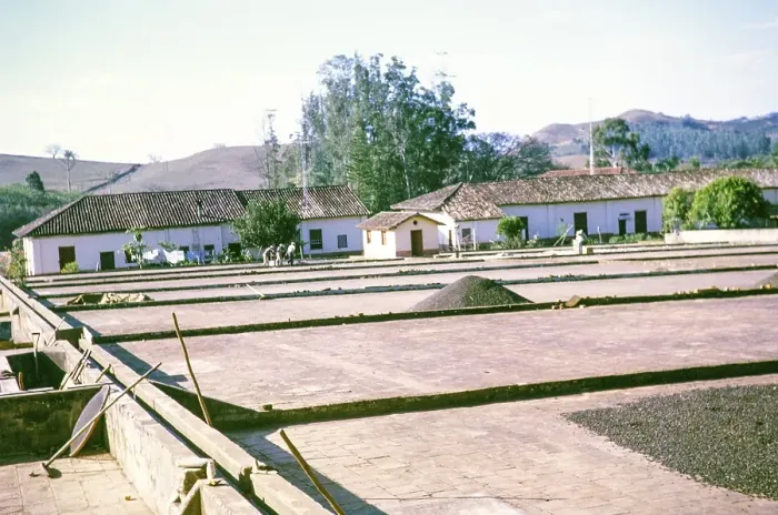 Impression encadrée : Usine de séchage et de traitement du café, Fazenda Sant Anna, Campinas, Brésil, Amérique du Sud 1962, Amérique du Sud.