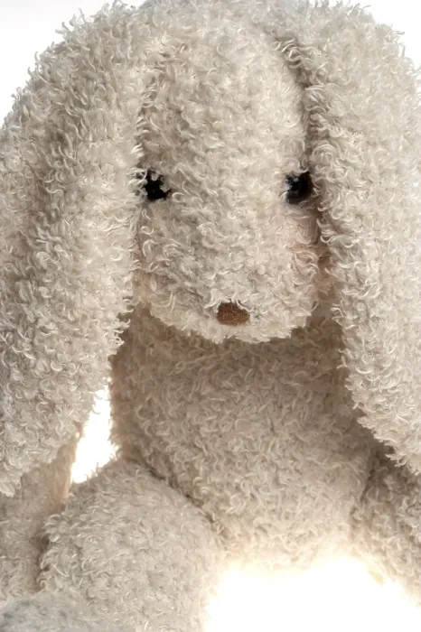 Impression encadrée : lapin de Pâques Impression encadrée : lapin de Pâques